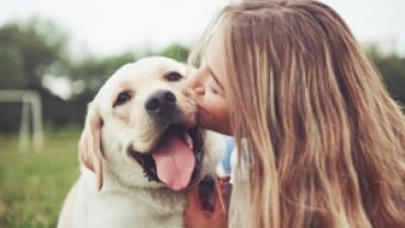 Service chien