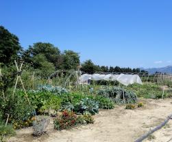 Location jardin potager