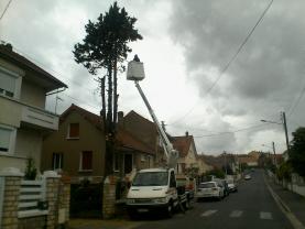 Service elagage