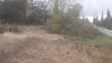 Location broyeur a vegetaux