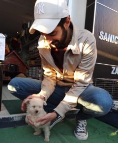 Service garde animaux