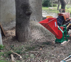 Service coupe de bois