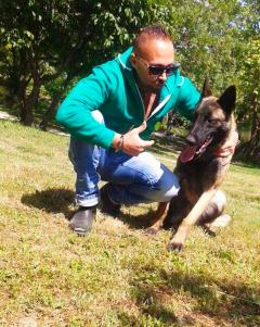 Service chien