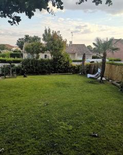 Service tonte de pelouse