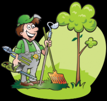 Service entretien espace vert
