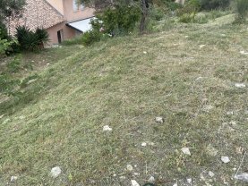 Service entretien espace vert