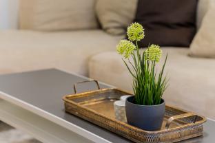 Location appartement
