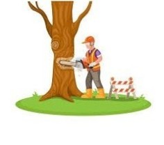 Service coupe de bois
