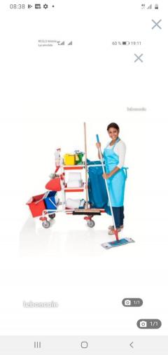 Service aide menagere