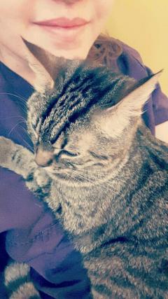 Service garde animaux