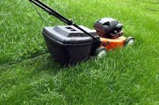 Service tonte de pelouse
