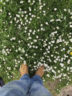 Service entretien jardin