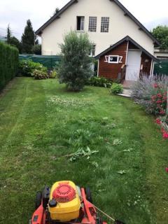 Service entretien jardin