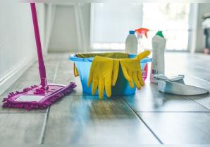 Service aide menagere