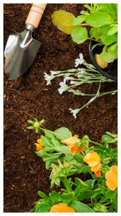 Service entretien jardin