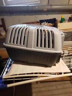 Location cage transport animaux