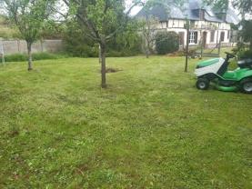 Service tonte de pelouse