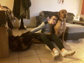 Service garde animaux