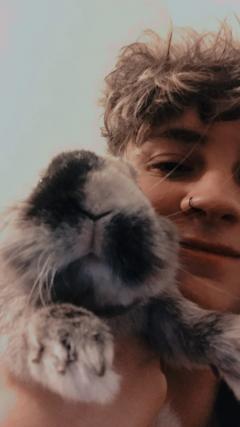 Service rongeur