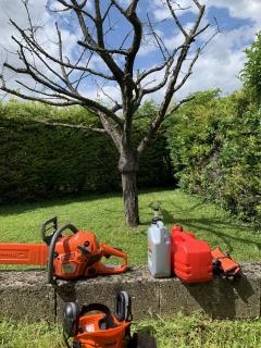 Service entretien espace vert