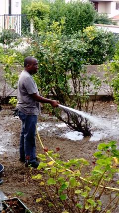 Service jardinage