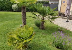 Service garde animaux