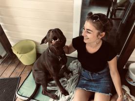 Service garde animaux