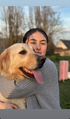 Service garde animaux