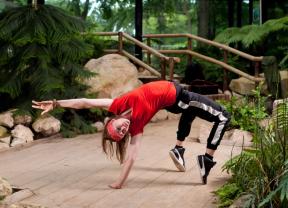 Service cours danse
