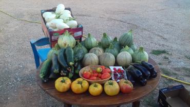 Location jardin potager