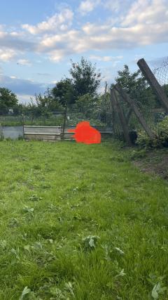 Location tondeuse