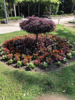 Service entretien jardin