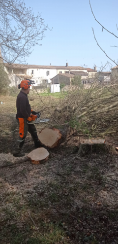 Service entretien espace vert