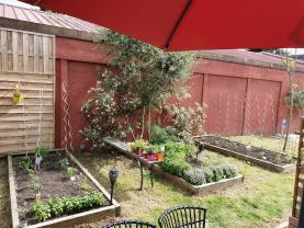Service jardinage