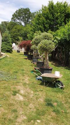 Service amenagement jardin