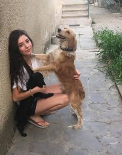 Service chien