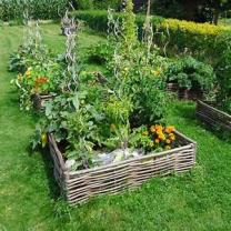 Location propose jardin potager