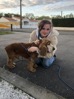 Service garde animaux