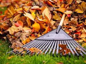 Service entretien jardin