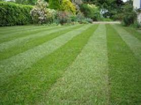 Location scarificateur