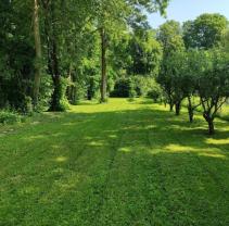 Location jardin