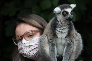 Service garde animaux