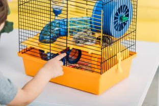 Service garde animaux