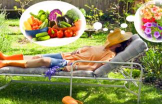 Location jardin potager