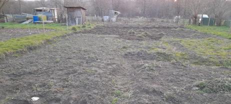 Service amenagement jardin