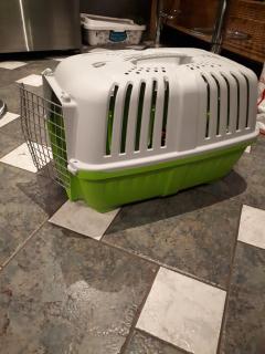 Location cage transport animaux