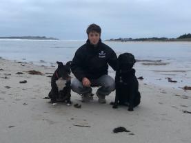 Service chien