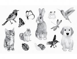 Service garde animaux