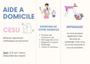 Service aide menagere
