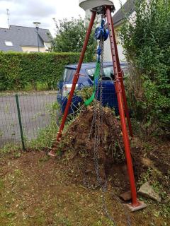 Service dessouchage